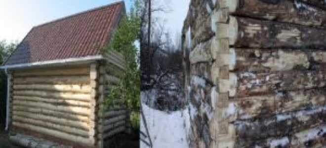 Баня из осины