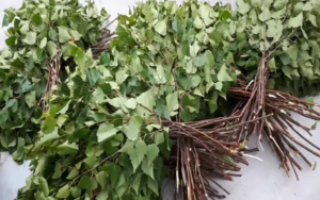 Какие бывают веники для бани