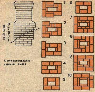 Порядовка выдры