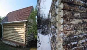 Баня из осины не обрезной доской