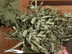 Эвкалиптовый веник для бани
